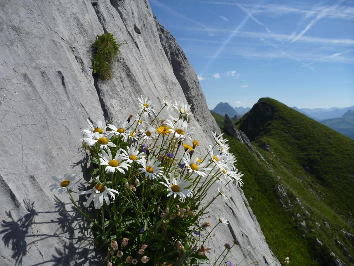 Urlaub Bei Moses Apartment Schoppernau Luaran gambar