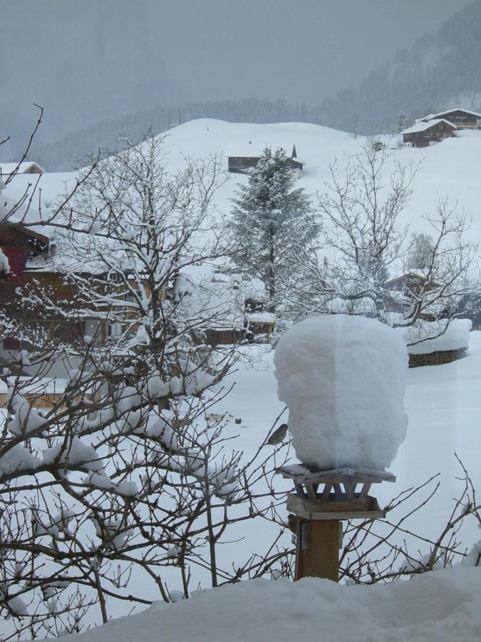 Urlaub Bei Moses Apartment Schoppernau Luaran gambar