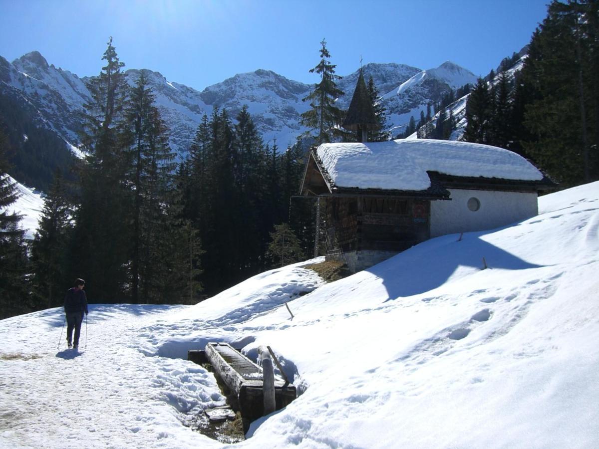 Urlaub Bei Moses Apartment Schoppernau Luaran gambar